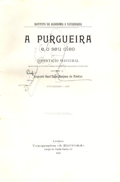 A PURGUEIRA E O SEU Ã“LEO.