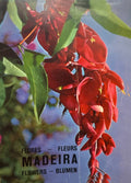 MADEIRA. PLANTAS E FLORES. PLANTES ET FLEURES. PLANTS AND FLOWERS. PFLANZEN UND BLUMEN. [EDIÃ‡ÃƒO 1979]