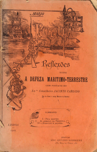 MARIO. PORTUGAL REFLEXÃ•ES SOBRE A DEFEZA MARITIMO-TERRESTRE.