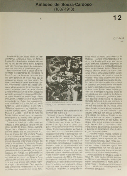 EXCERTOS DO ROTEIRO DO CENTRO DE ARTE MODERNA.