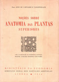 NOÃ‡Ã•ES SOBRE ANATOMIA DAS PLANTAS SUPERIORES.