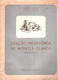 ESTAÃ‡ÃƒO PRÃ‰-HISTÃ“RICA DE MONTES-CLAROS. MONSANTO.