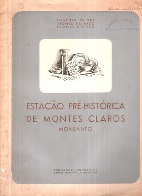 ESTAÃ‡ÃƒO PRÃ‰-HISTÃ“RICA DE MONTES-CLAROS. MONSANTO.