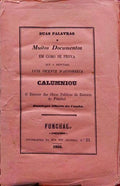 DUAS PALAVRAS E MUITOS DOCUMENTOS