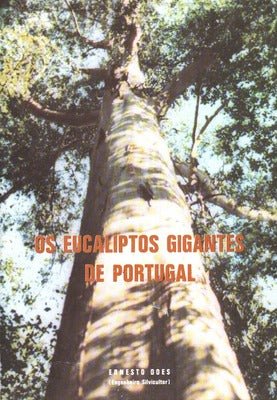 OS EUCALIPTOS GIGANTES DE PORTUGAL.