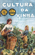 A VINHA [CULTURA DA VINHA].