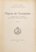 DEPOIS DO TERRAMOTO.