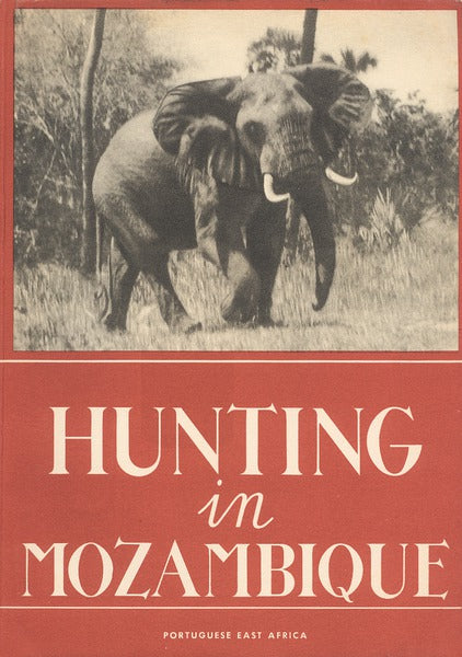 HUNTING IN MOZAMBIQUE.