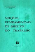 NOÃ‡Ã•ES FUNDAMENTAIS DE DIREITO DO TRABALHO.