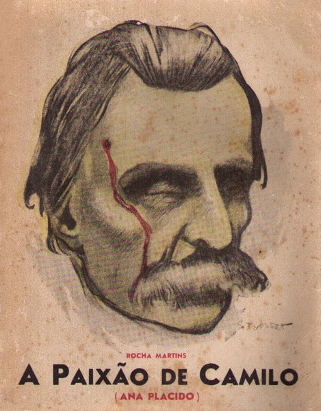 A PAIXÃƒO DE CAMILO (ANA PLÃCIDO).