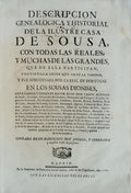 DESCRIPCION GENEALOGICA Y HISTORIAL DE LA ILUSTRE CASA DE SOUSA,