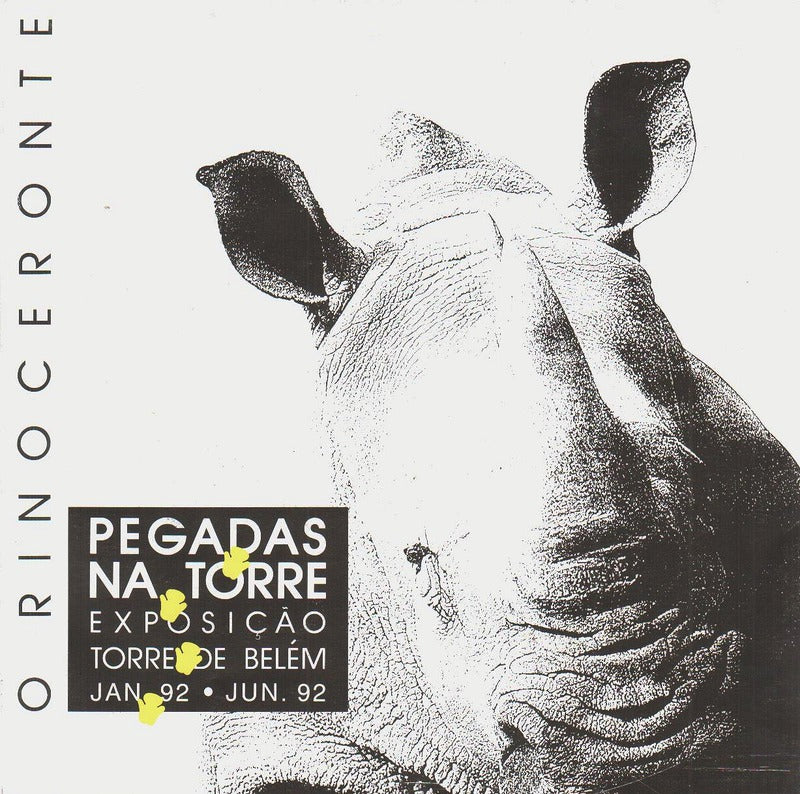 PEGADAS NA TORRE, O RINOCERONTE.