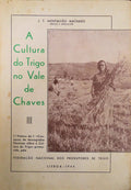 A CULTURA DO TRIGO NO VALE DE CHAVES.