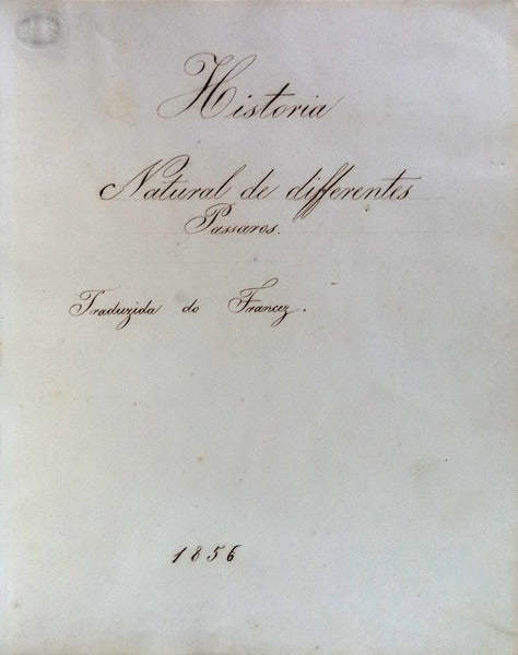 MANUSCRITO - HISTORIA NATURAL DE DIFFERENTES PASSAROS [DO BRASIL]. [MANUSCRIPT FIELD STUDY ON THE BIRDS OF BRAZIL]