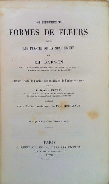 DES DIFFÃ‰RENTES FORMES DE FLEURS.