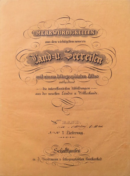 DAS MERKWÃœRDIGSTE AUS DER MALERISCHEN REISE IN BRASILIEN.