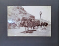PHOTO ALBUM WITH 48 PHOTOGRAPHS & PHOTOPRINTS FROM PORT SAID, ADEN, ZANZIBAR AND UGANDA.