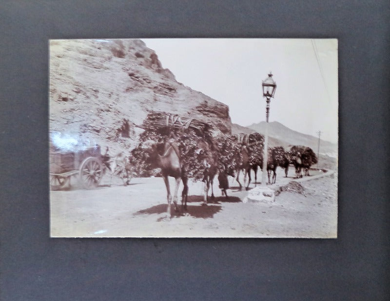 PHOTO ALBUM WITH 48 PHOTOGRAPHS & PHOTOPRINTS FROM PORT SAID, ADEN, ZANZIBAR AND UGANDA.