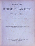 EUROPEAN BUTTERFLIES AND MOTHS.