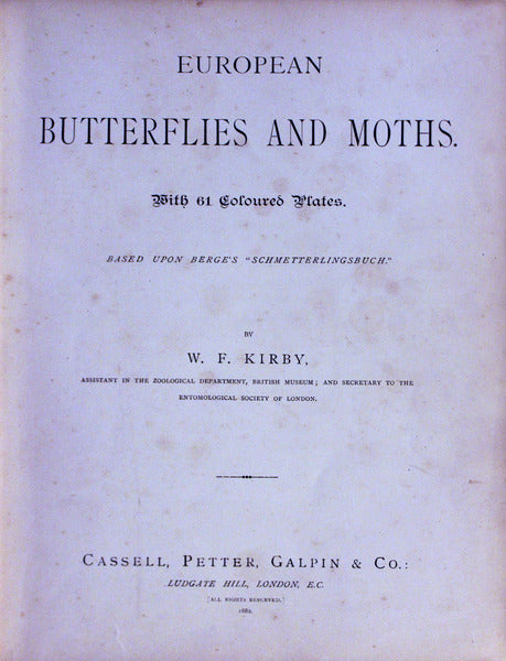 EUROPEAN BUTTERFLIES AND MOTHS.