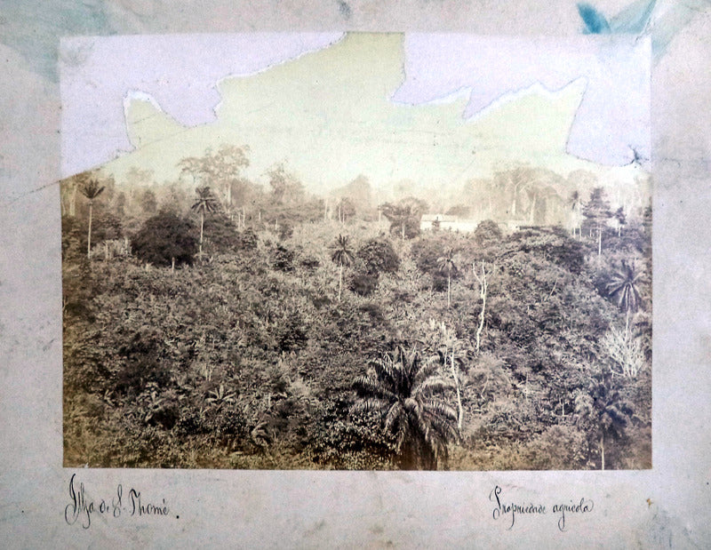 FOTOGRAFIA SÃ‰C. XIX - ILHA DE SÃƒO TOMÃ‰ â€“ ROÃ‡A ÃGUA ISÃ‰. S/d [cerca de 1890]