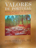 CONCELHO DE VISEU. ESTRADAS PONTES E OUTRAS OBRAS ATRIBUÃDAS AOS ROMANOS. [S/ CAIXA].