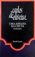 UMA ABELHA NA CHUVA.