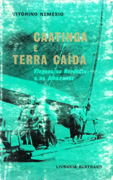 CAATINGA E TERRA CAÃDA.