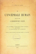 DE Lâ€™ ENCÃ‰PHALE HUMAIN.