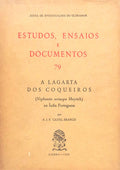 A LAGARTA DOS COQUEIROS.