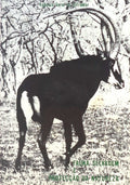 FAUNA SELVAGEM E PROTECÃ‡ÃƒO DA NATUREZA.