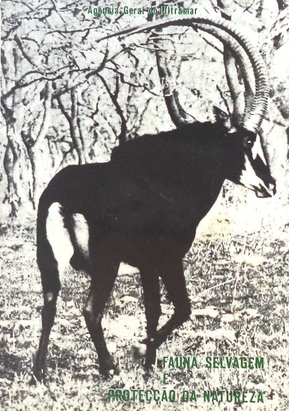 FAUNA SELVAGEM E PROTECÃ‡ÃƒO DA NATUREZA.