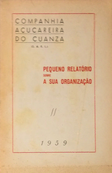 PEQUENO RELATÃ“RIO SOBRE A SUA ORGANIZAÃ‡ÃƒO.