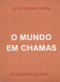 O MUNDO EM CHAMAS.
