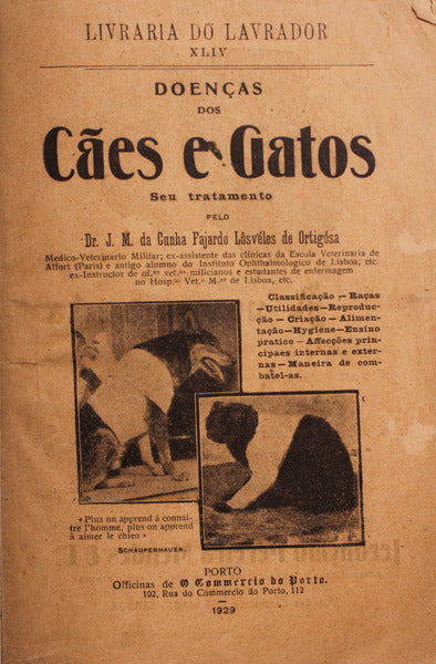 DOENÃ‡AS DOS CÃƒES E GATOS