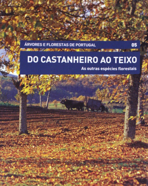 DO CASTANHEIRO AO TEIXO. AS OUTRAS ESPÃ‰CIES FLORESTAIS.