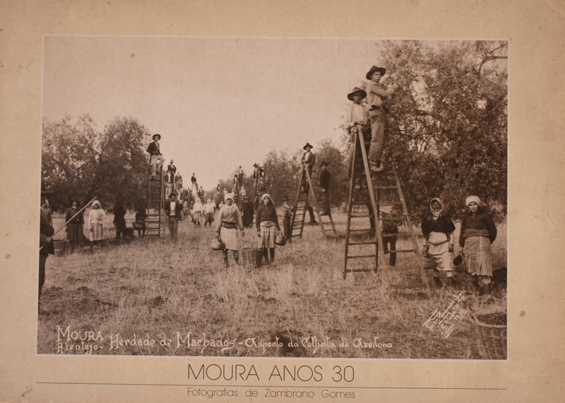 MOURA ANOS 30.