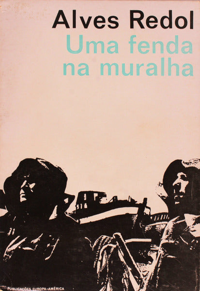 UMA FENDA NA MURALHA.