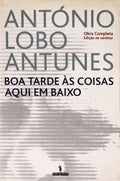 BOA TARDE Ã€S COISAS AQUI EM BAIXO.