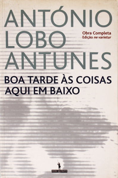 BOA TARDE Ã€S COISAS AQUI EM BAIXO.
