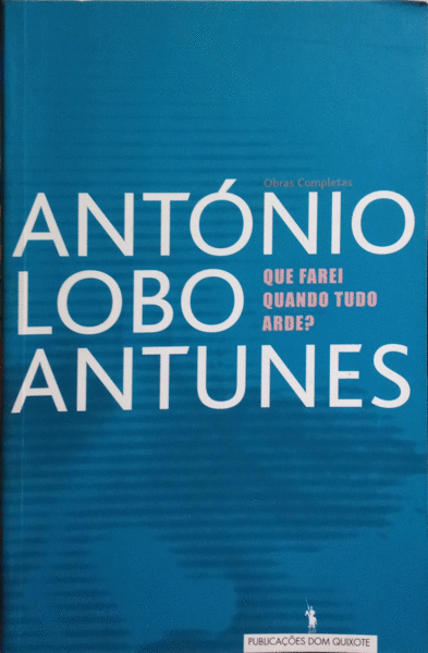 QUE FAREI QUANDO TUDO ARDE?