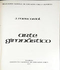 ARTE GIMNÃSTICO.