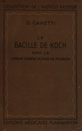 LE BACILLE DE KOCH DANS LA LÃ‰SION TUBERCULEUSE DU POUMON.