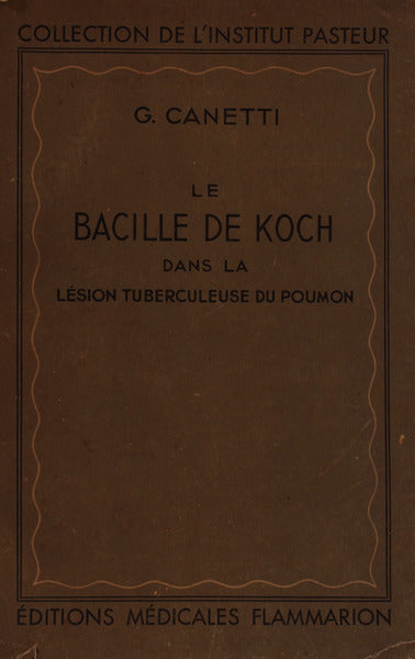 LE BACILLE DE KOCH DANS LA LÃ‰SION TUBERCULEUSE DU POUMON.