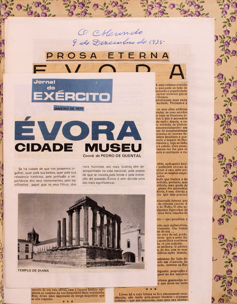 Ã‰VORA.