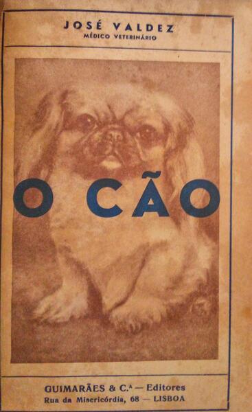 O CÃƒO.