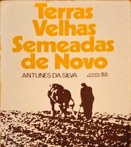 TERRAS VELHAS SEMEADAS DE NOVO.