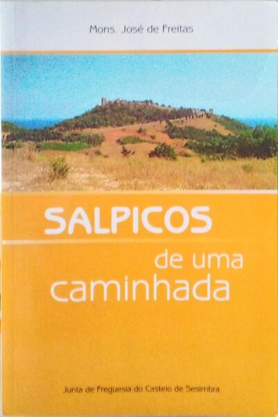 SALPICOS DE UMA CAMINHADA. [DED. AUTOR]
