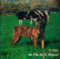 O CÃƒO DE FILA DE S. MIGUEL.