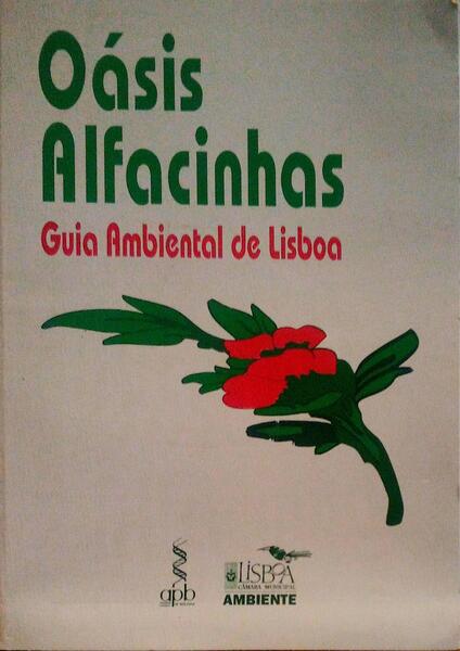 OÃSIS ALFACINHAS.